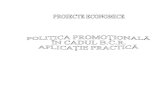 Politica Promotional A in Cadrul BCR