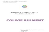 Proiect Tm Colivie Rulment