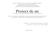 Moldovanu Proiect La Investitii Word 2011