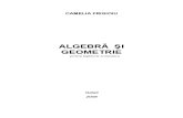 Algebra Si Geometrie Pentru Inginerie Economica