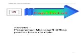 Access-Programul Microsoft Office Pentru Baze de Date