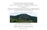Studiu Geomorfologic Al Bazinului Varbilau - Rezumat
