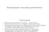 3 Patologia nervilor periferici2