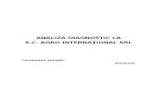 Analiza Diagnostic La SC. Agro International SRL
