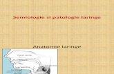 Semiologie Si Patologie Laringe