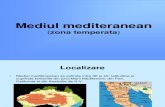 Mediul mediteranean