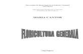 Curs Floricultura Generala Hortic Anul II Sem 2 Maria Cantor