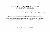 Noul Capitalism Romanesc 3 Print Version