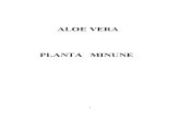 Aloe Vera - Carte