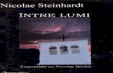 Nicolae Steinhardt Intre-Lumi