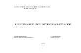 Regimul de Mineralizare Al Apelor2010