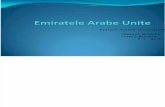 Emiratele Arabe Unite Final