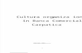 Cultura Organizational A a Bancii Comerciale Carpatica