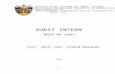 Audit Intern Varianta 1+2