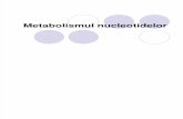 13,14 Metabolismul nucleotidelor prezentare