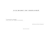 New_lucrarea de Licentapana Marian,Forma Finala