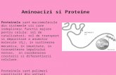 Proteine Aminoacizi