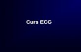 ECG Curs Aritmii