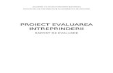 Proiect Evaluarea Intreprinderii - Raport de Evaluare