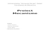 Proiect Mecanisme
