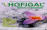Revista Hofigal Nr 26