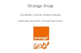 Orange Snap Public