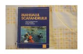 Manualul Scafandrului (Mircea Degeratu, Aron Petru Sergiu Ionita)