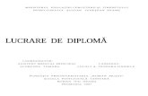 38673332 Lucrare de Diploma Lucaci SSS