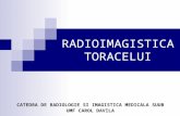 Curs 2 - Radioimagistica Toracelui