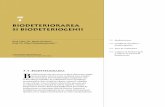 Corbi de Piatra - Studiu Interdisciplinar - Biodeteriorarea si biodeteriogenii (Cap. 7)