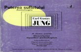 Jung Puterea Sufletului 2 Descrierea Tipurilor Psihologice Ed Anima