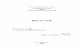 Analiza Si Gestionarea Riscului Operational in Bancile Comerciale - Preda Daniel - Disertatie - Final