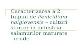 Caracterizarea a 2 Tulpini de Penicillium Nalgiovensis - Culturi Starter in Industria Salamurilor Maturate - Crude