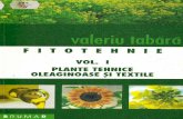 Fitotehnie Vol. I  Plante tehnice, oleaginoase și textile. VALERIU TABĂRĂ 2005