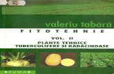 Fitotehnie Vol. II Plante tehnice, tuberculifere și oleaginoase. VALERIU TABĂRĂ 2005