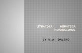 Steatoza Hepatica + Hemangiom
