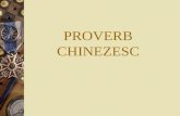 Proverb Chinezesc