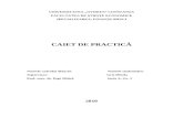 92376437 Caiet Practica BRD[1]