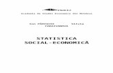 Manual Statistica Social Eco Ion Silvia