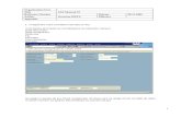 051109 SAP Manual FI