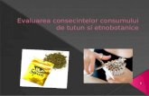 Evaluarea Consecintelor Consumului de Tutun Si Etnobotanice