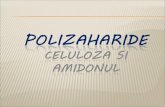 Proiect Polizaharide