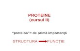 Proteine Curs2R 2012