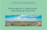 Peisajul Cultural Orheiul Vechi - coordonator şi autor Gheorghe Postică, Chişinău, 2010, 138 p.