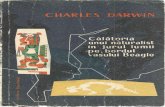 Calatoria Unui Naturalist in Jurul Lumii Pe Bordul Vasului Beagle (Ch.darwin; Ed. Tineretului 1958)