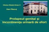12 Prolapsul Genital Si Iue