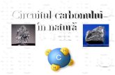 circuitul carbonului in natura