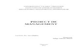 Proiect de Management Savu