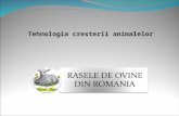 Presentation RASE OVINE 2003