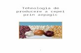 Tehnologia de Producere a Cepei Prin Arpagic